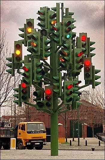 Mon beau sapin !