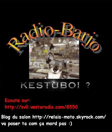 Radio-barjo ta web radio lien pour nous ecoutez http://sv0.minisite.vestaradio.com/8550  waroufff sont barjots la dedans !!